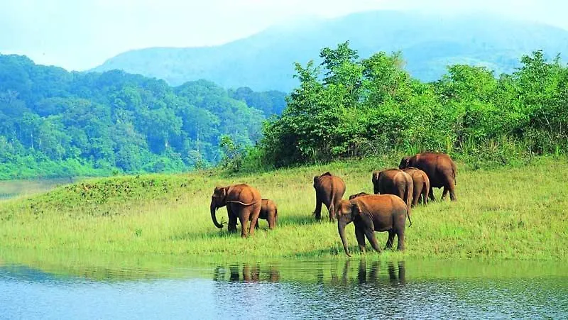 Twin Cottages Thekkady Inde