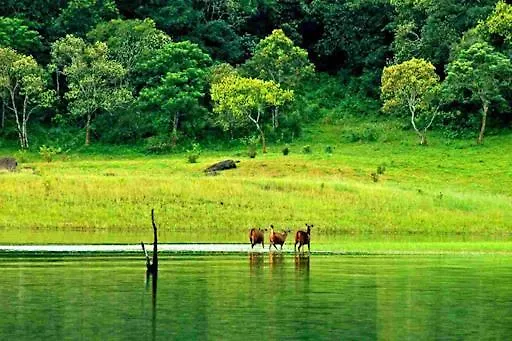 Twin Cottages Thekkady