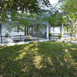 Bamboo Creak Resort